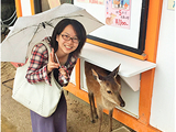 First, took the two-shot picture with deer in Miyajima