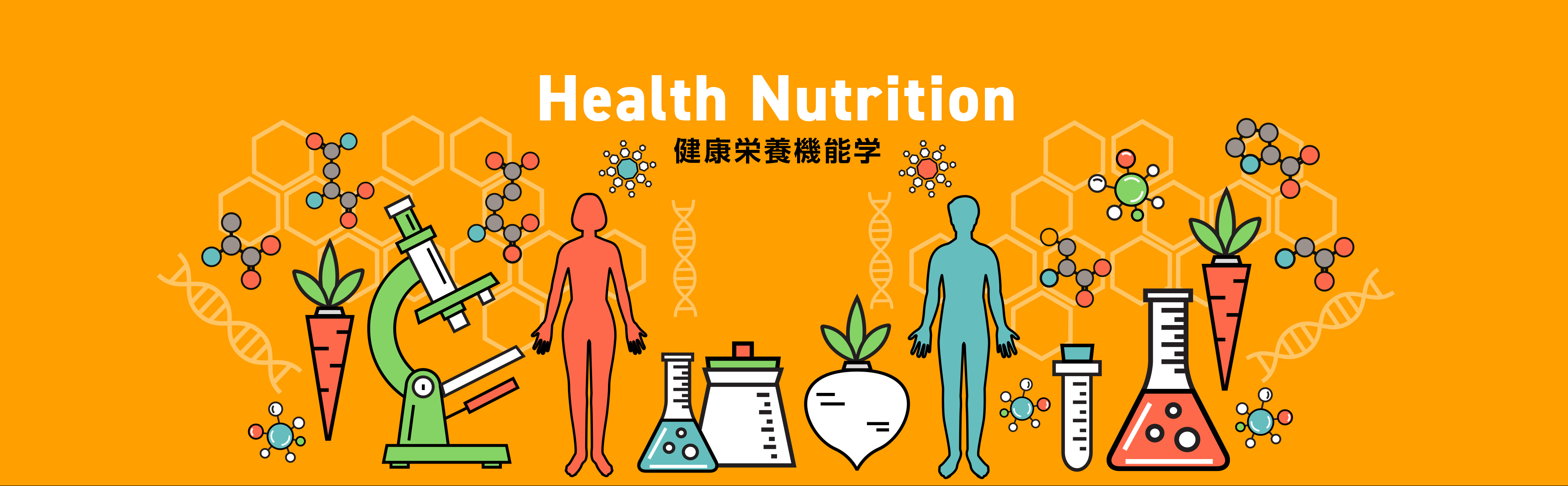 Health Nutrition 健康栄養機能学