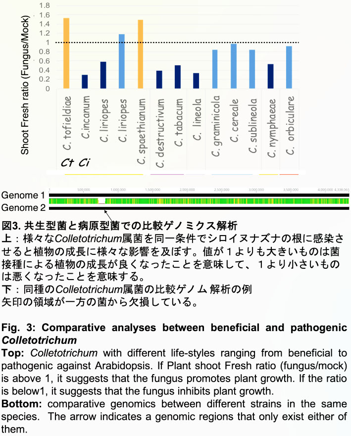 植物微生物相互作用