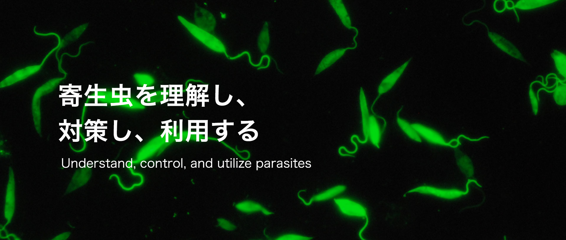 Understand, control, and utilize parasites
