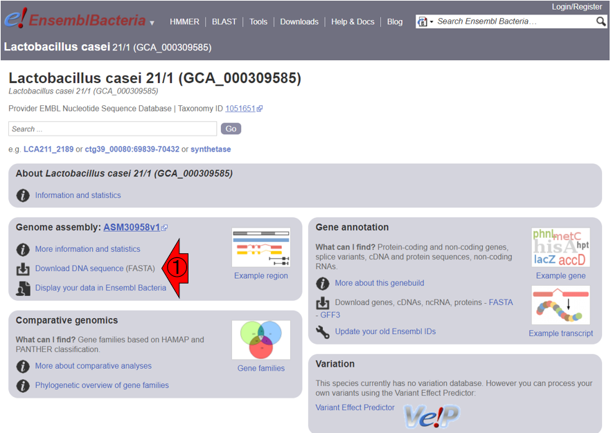 ?Lactobacillus casei 21/1のゲノム配列のダウンロードページ1