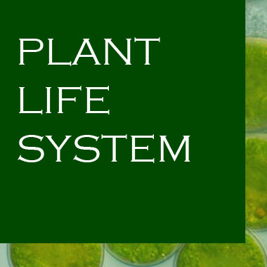 PLANT LIFE SYSTEM