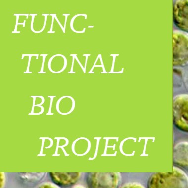 Functional Biotechnology Project