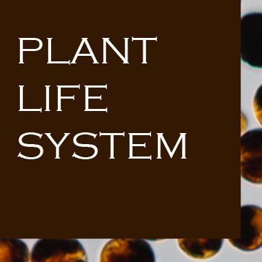 PLANT LIFE SYSTEM