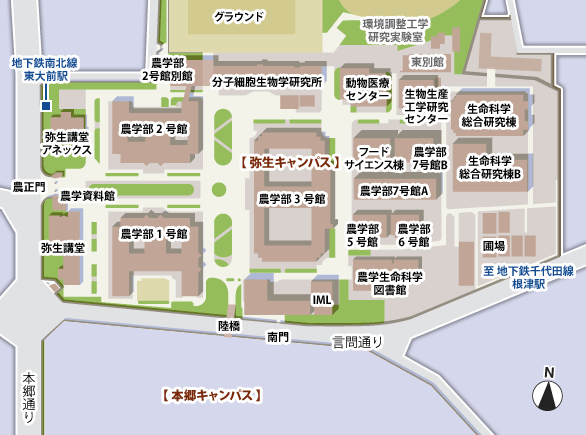 弥生キャンパスマップ