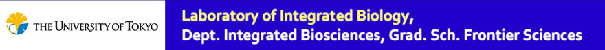 Laboratory of Integrated Biology, Dept. Integrated Biosciences, Grad. Sch. Frontier Sciences, The University of Tokyo