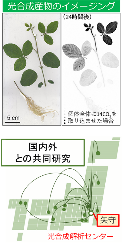 夜明けの晩に 上 - www.pranhosp.com